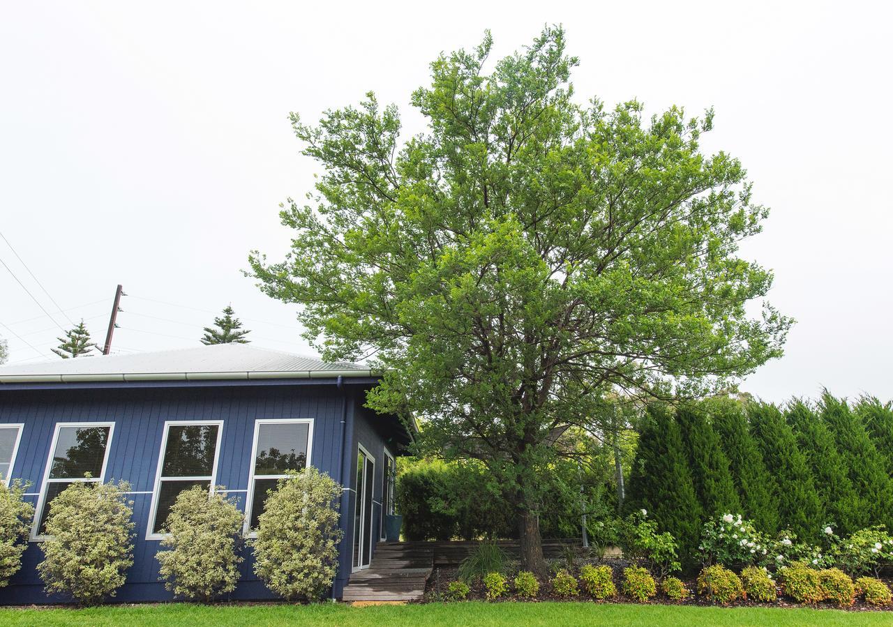 Апартаменты S T U D I O 22 Peaceful Retreat With Garden Views Порт-Линкольн Экстерьер фото